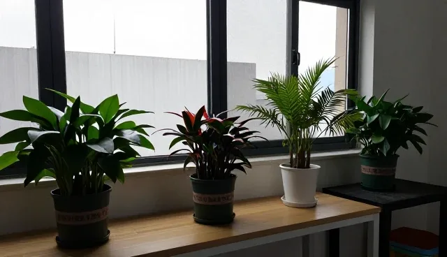 技术服务如何赋能农产品供应的多场景适配